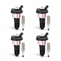 BDFHYK 4 Ignition Coil UF303 and 4 Iridium Spark Plug 5019 for 2004-2006 Colorado, 2004-2006 Canyon, 2007-2008 i-290 2.8L/2.9L